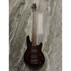 Schecter Diamond Series Raiden Special-5 Bass Guitar Used Great Condition!